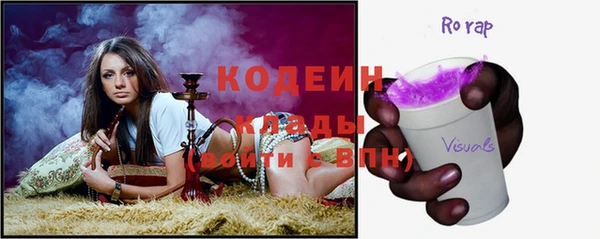 прущие грибы Абаза