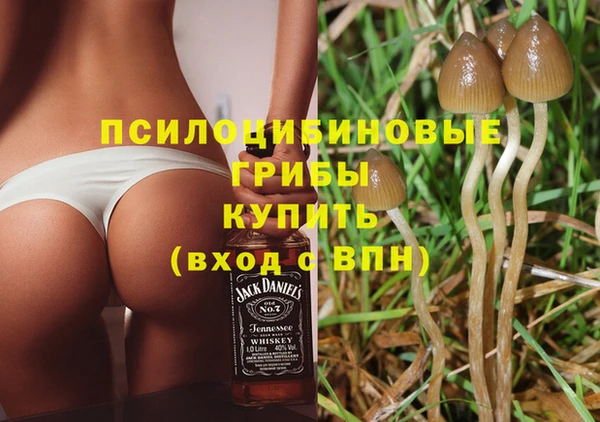 шишки Абинск