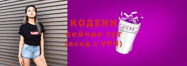 прущие грибы Абаза