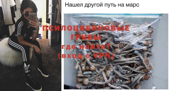прущие грибы Абаза