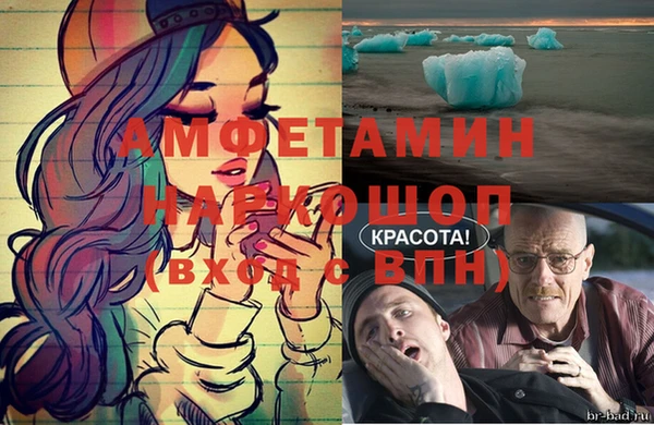 прущие грибы Абаза